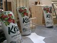 Fizz 3D Cider Cans  